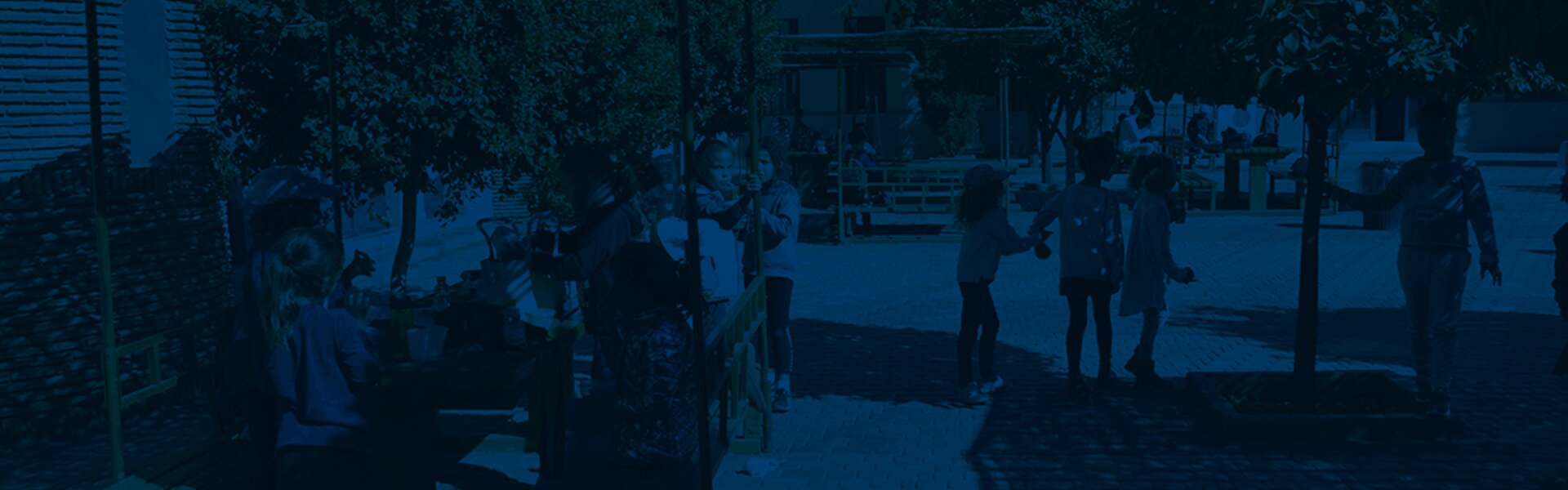tour (1)